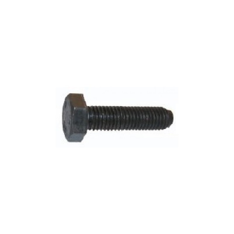 Vis de Fixation Des Charnière de Porte Avant Moderne  M7/20