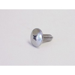 Vis PZ N°2 - M07 x 013 mm - Tête Bombée Large Chromée Pare-Choc